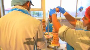 doner-kebab-construct